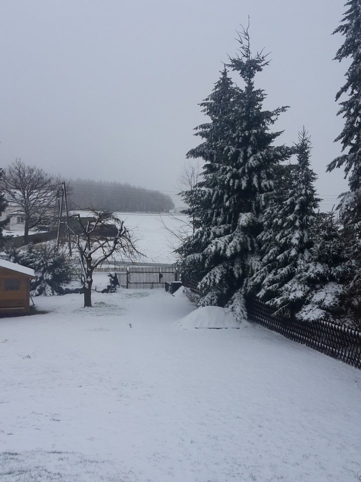 tastendsee's tweet photo. Meine Schwester kam gerade in mein Zimmer und meinte es läge Schnee.
Es war kein Aprilscherz. https://t.co/lsjcbjq99Q