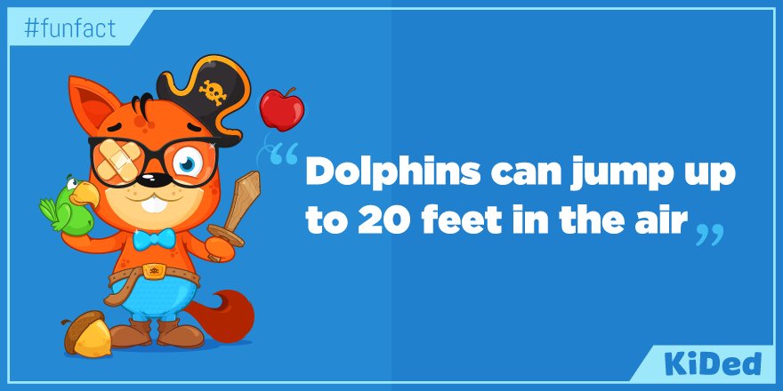 KidED_'s tweet photo. Did You Know "Dolphins can jump up to 20 feet in the air" #FunFact https://t.co/xpmZRqsWfc