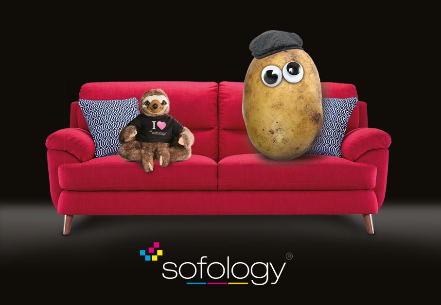 Sofology On Twitter New Sofology Mascot Neal The Sloth Is - 