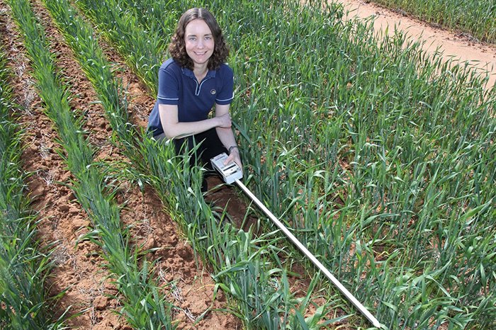 WeedSmartAU's tweet photo. Sow east-west for a free weed control strategy https://t.co/87WyWYh0TI via @AHRI_Team https://t.co/1st5cy9BD6
