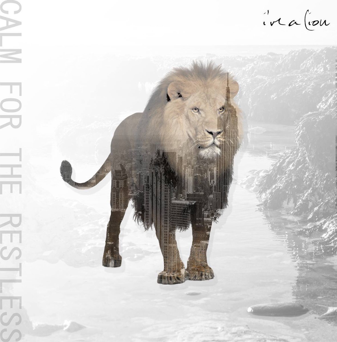 restlesscalm's tweet photo. Tomorrow. 12pm. 🦁#calmfortherestless #imalion https://t.co/8ZR6ZJXlvt