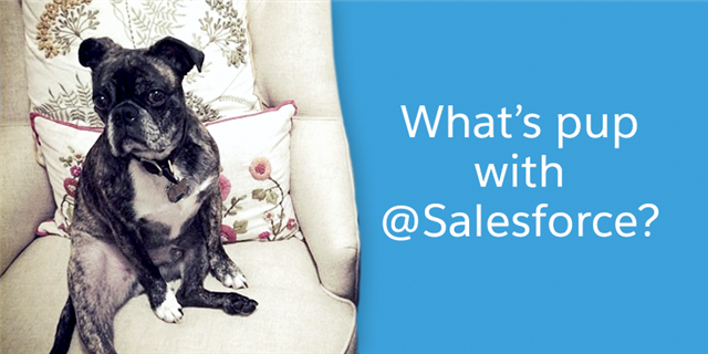 KyleHaverSF's tweet photo. .@Salesforce Twitter Has Gone to the Dogs: It’s a Puppy Takeover! https://t.co/BPu1EtoWfX https://t.co/5aLL90eEzJ
