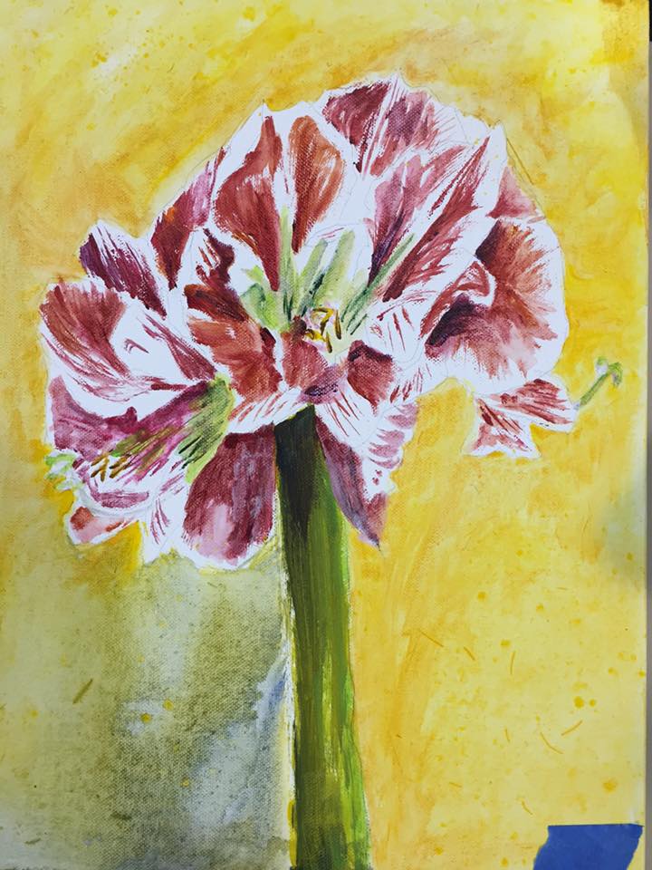 Walton Foundation tweet media