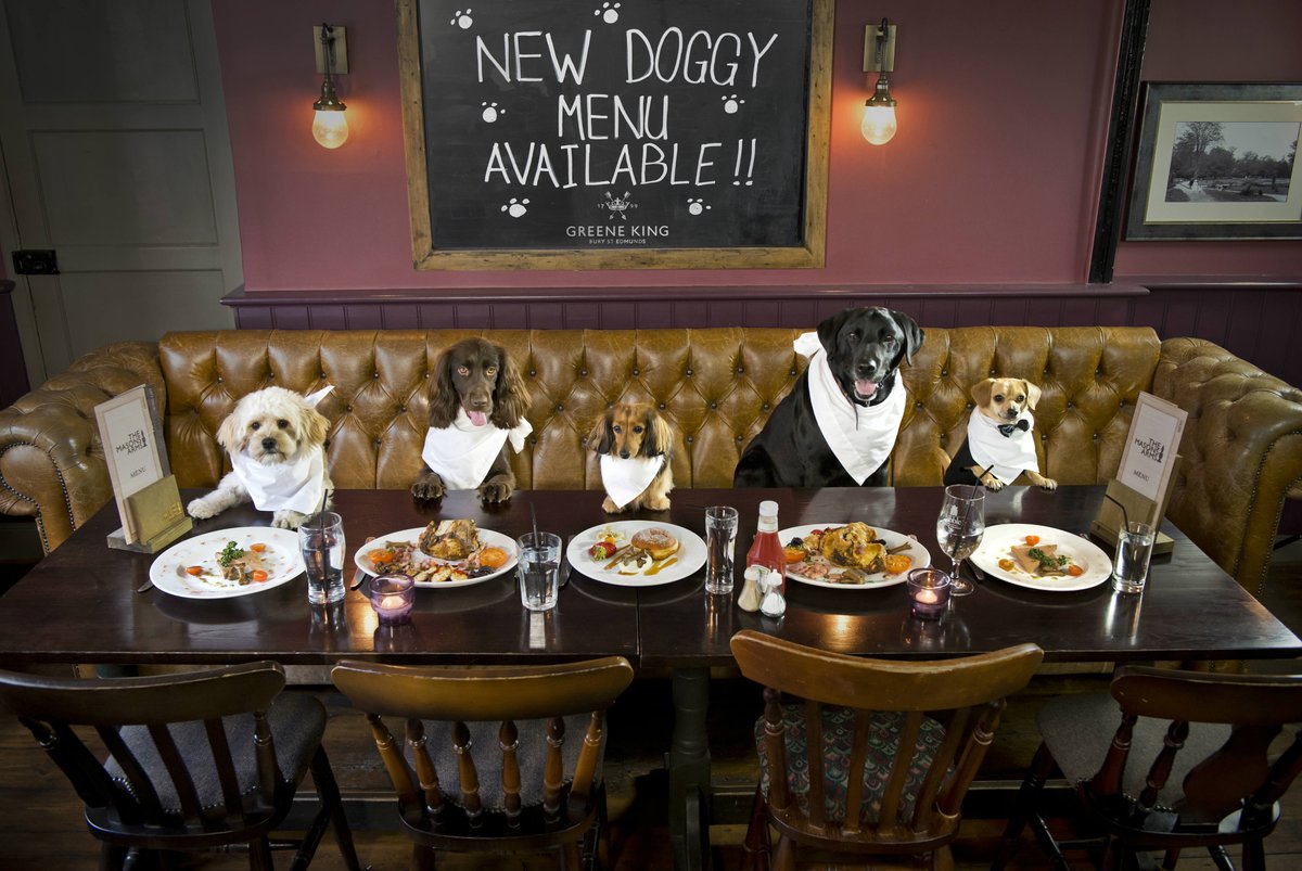 Did you get caught out by an April Fools today? Here’s a throwback to ours from last year. We still love this photo!