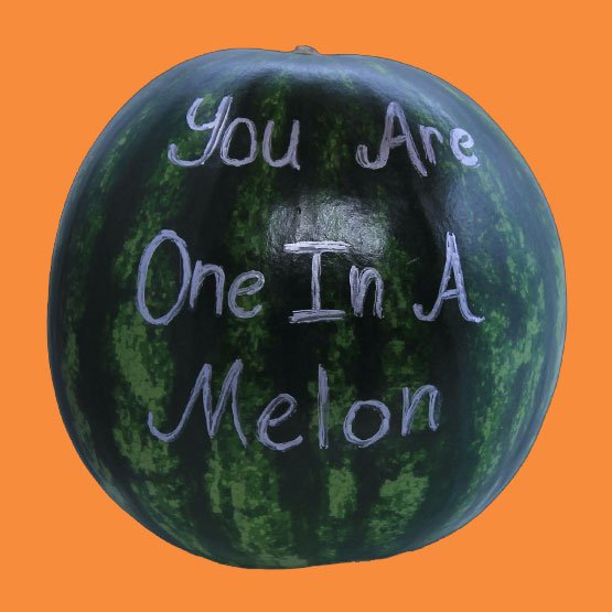 We hopped on the bandwagon, now you can ship a watermelon...
shipyourenemiesglitter.com/product/A-Wate…