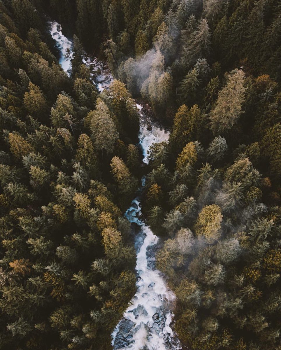 Take me here🌲🌲🌲🌲

#InstaDiscovered