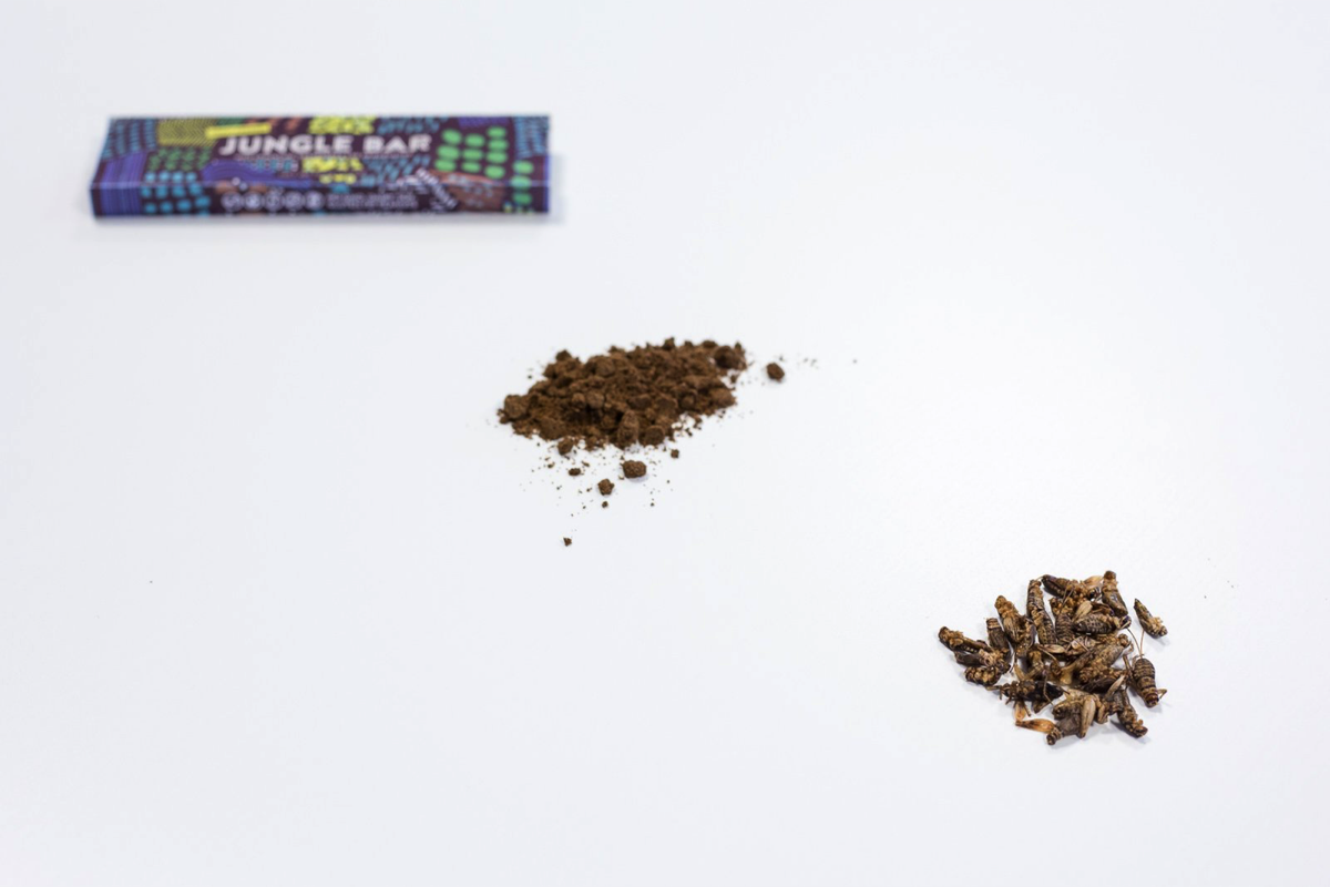 CrowbarProtein's tweet photo. DIY Cricket flour #1 Farm crickets #2 Roast them #3 Ground them into fine flour #4 Cricket Flour! #Tastethebuzz https://t.co/ODoefjDxmC