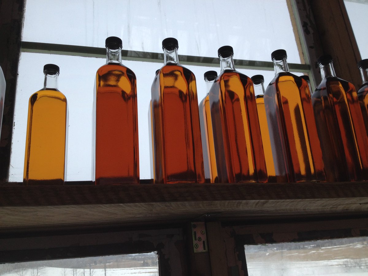OttawaMorning's tweet photo. A banner year for maple syrup producers across Eastern Ontario and West Quebec. Some say best sap run in 25 years. https://t.co/JJVKjFs2qf