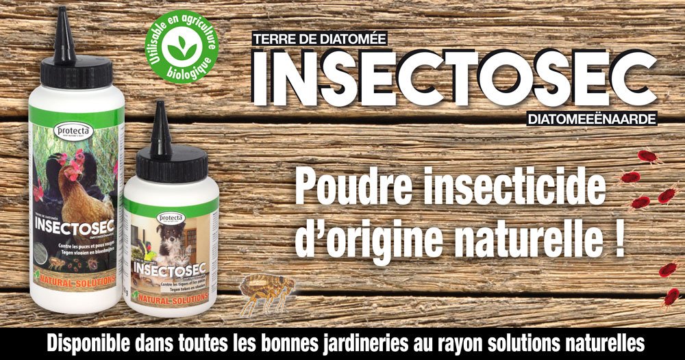 Protecta_be's tweet photo. La terre de diatomée insectosec lutte contre les insectes dans les poulaillers ou dans l'habitat. #insectosec #bio https://t.co/whkvJtJkUK
