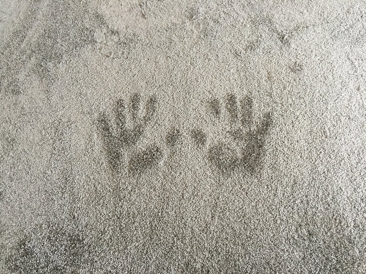 floortender's tweet photo. Vandaag een heel mooi tapijt mogen leggen voor @erikhol #deprinsenhof met @r_hooiveld #hoogpool #prachtig https://t.co/Centgbsdb2