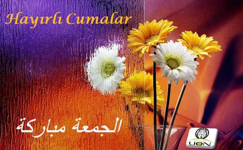 Hayırlı Cumalar 
nclion.com
instagram.com/lionconcept/
facebook.com/NcLion/