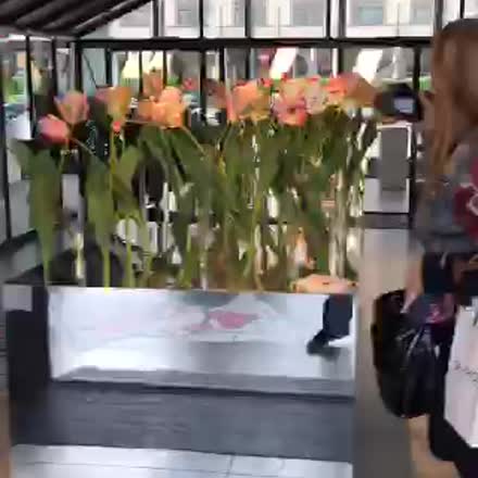 fragrantica's tweet photo. |REPLAY| visting #unscent in Milan #katch #Periscope https://t.co/ajLqfnKFQ6 https://t.co/XC5BlX8mCl