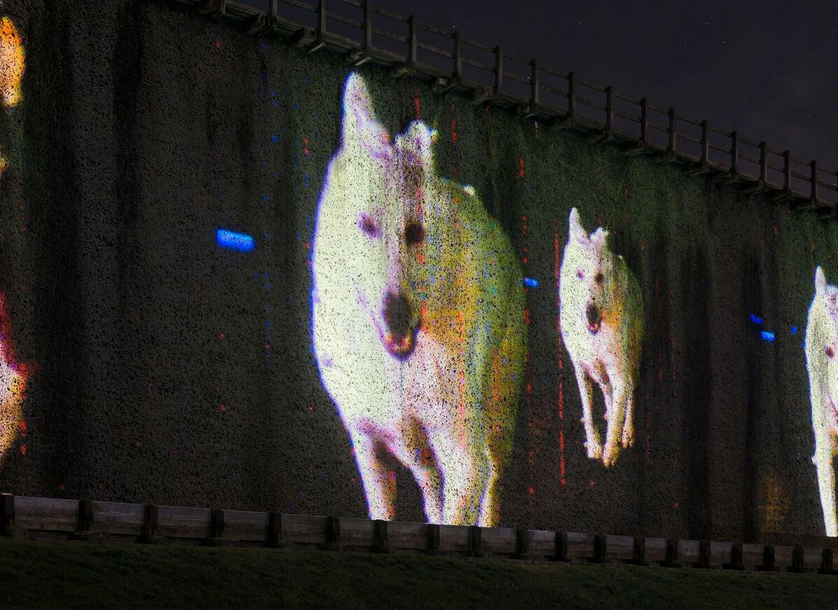 lichtsicht's tweet photo. Heute, 21:40, Arte, Doku >X-Ray Run - Geheimnis des Laufens< mit rosalies Kunstwerk >Marathon der Tiere< #lichtsicht https://t.co/X4UABFVdYh
