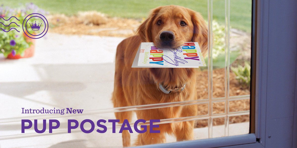 Hallmark's tweet photo. New #HallmarkPupPostage dog delivery at your door! See if your area is eligible. https://t.co/9X8T5WtQ9q https://t.co/NNVvAKPt4X