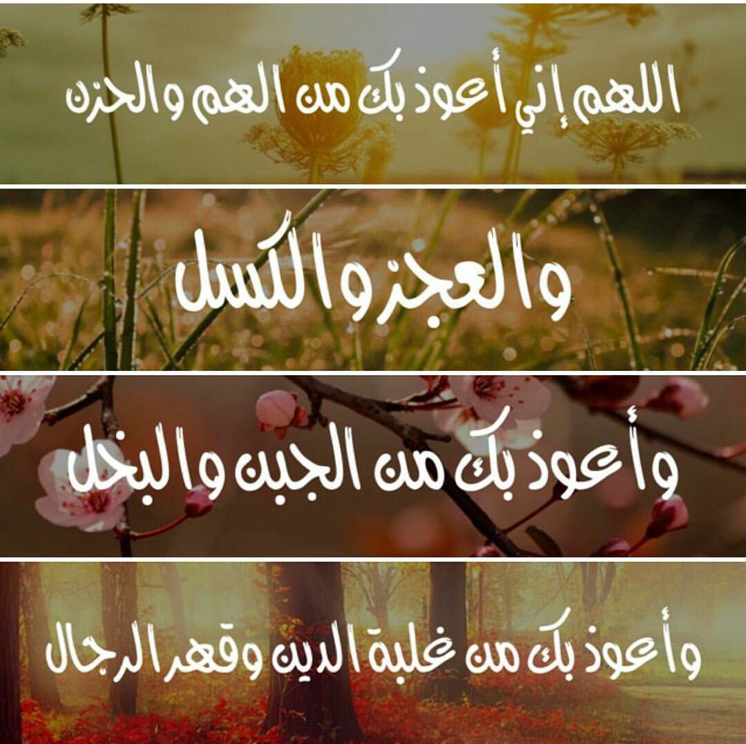 StiteshHarris's tweet photo. #جمعه_مباركه https://t.co/auSOA6zlOC