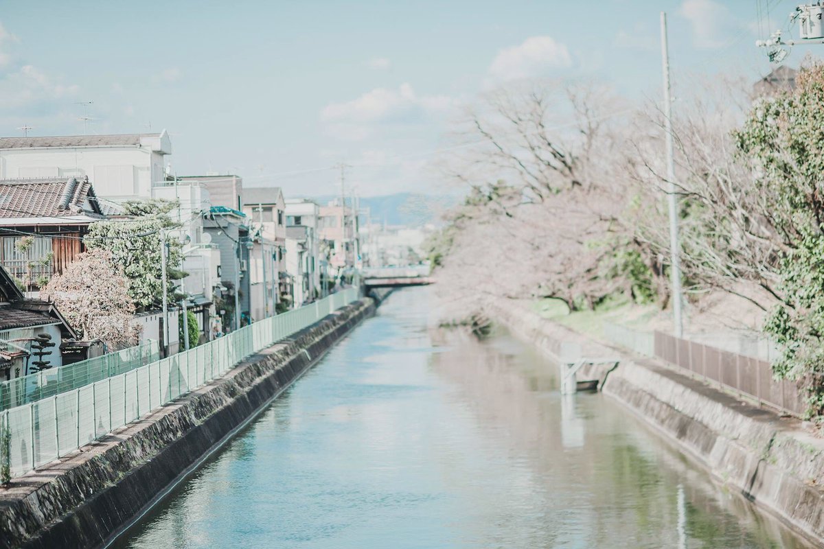 Iska_TOSHIKAZU's tweet image. 「春街感」フィルム風パート何々。

春の街の感じ。
略して春街感。

しょうもな  ^ ^ ww

#フィルム風
#伏見稲荷駅