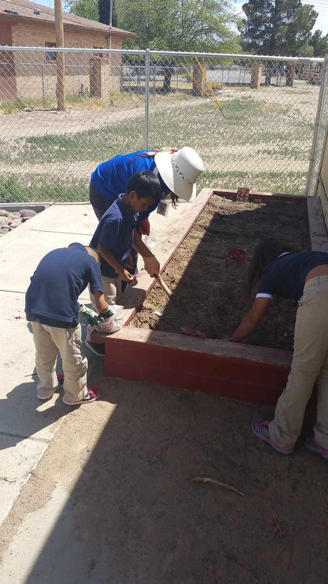 73alimon's tweet photo. Mrs Solis and her students (Garden Club). The garden is full of tasks #compost #sharpentools #soil #fruit ๐๐ https://t.co/KLve9Caumt