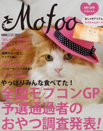 オスカー様としもべ達 オスカー様ついにモデルデビュー 猫 Cat ねこ メインクーン 猫モフー オスカー 猫好き 猫モデル 猫人 可愛い猫 エイプリルフール Debut T Co Gmpeiafu4g T Co L157nmutkb オスカー様としもべ達 オスカー様ついにモデルデビュー 猫 Cat ねこ メインクーン 猫モフー オスカー 猫好き 猫モデル 猫人 可愛い猫 エイプリルフール Debut T Co Gmpeiafu4g T Co L157nmutkb