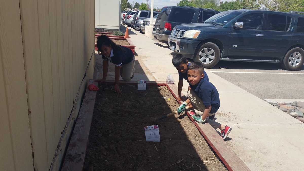73alimon's tweet photo. Mrs Solis and her students (Garden Club). The garden is full of tasks #compost #sharpentools #soil #fruit ๐๐ https://t.co/KLve9Caumt