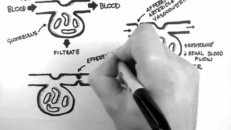 Neil Palin tweet media