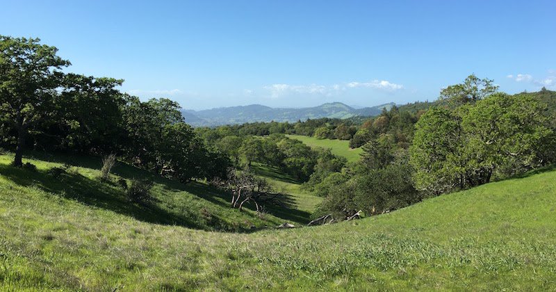 Hydra_Light's tweet photo. California Dreamin' - Adventures in Santa Rosa https://t.co/ynPUOONXGH #Travel #IfIHadAnExtraFiveMinutes https://t.co/OBvaEXaSAz