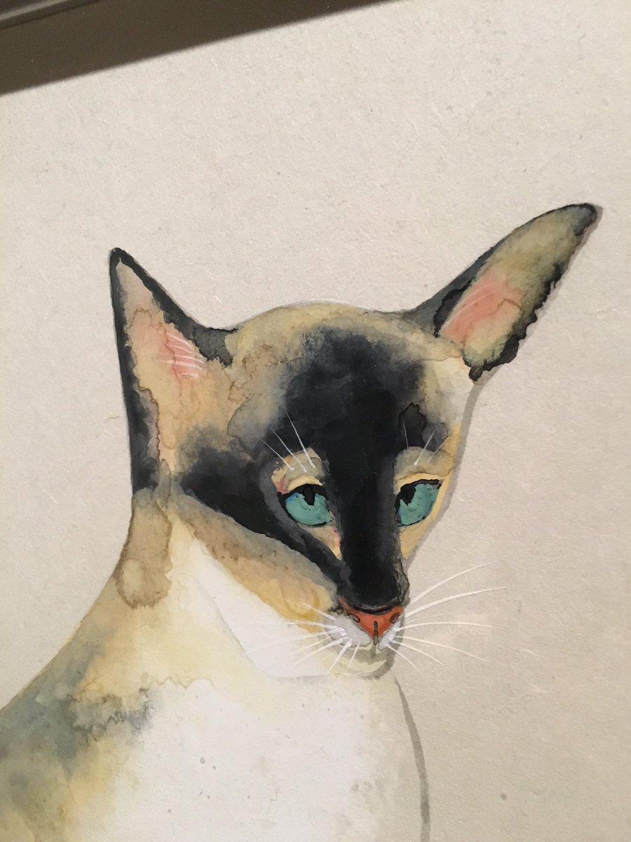 奥村土牛展ブロガー内覧会 奥村土牛「兎」(部分)「シャム猫」(部分