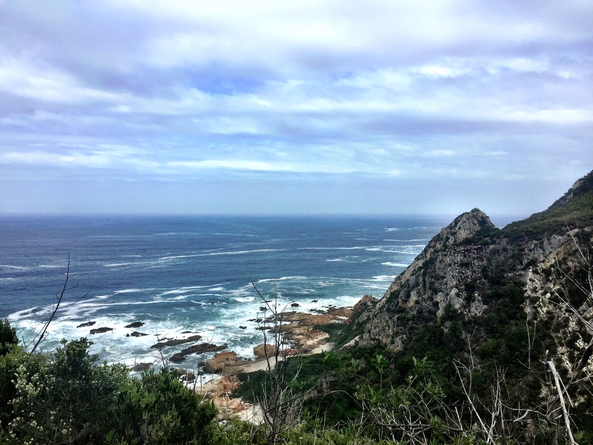 Jeans2409's tweet photo. Some magnificent singletrack riding at #Harkerville #mtb #fitness #Gardenroute #36OneChallenge #Race2Rhodes https://t.co/a4ZNqjRJ8K