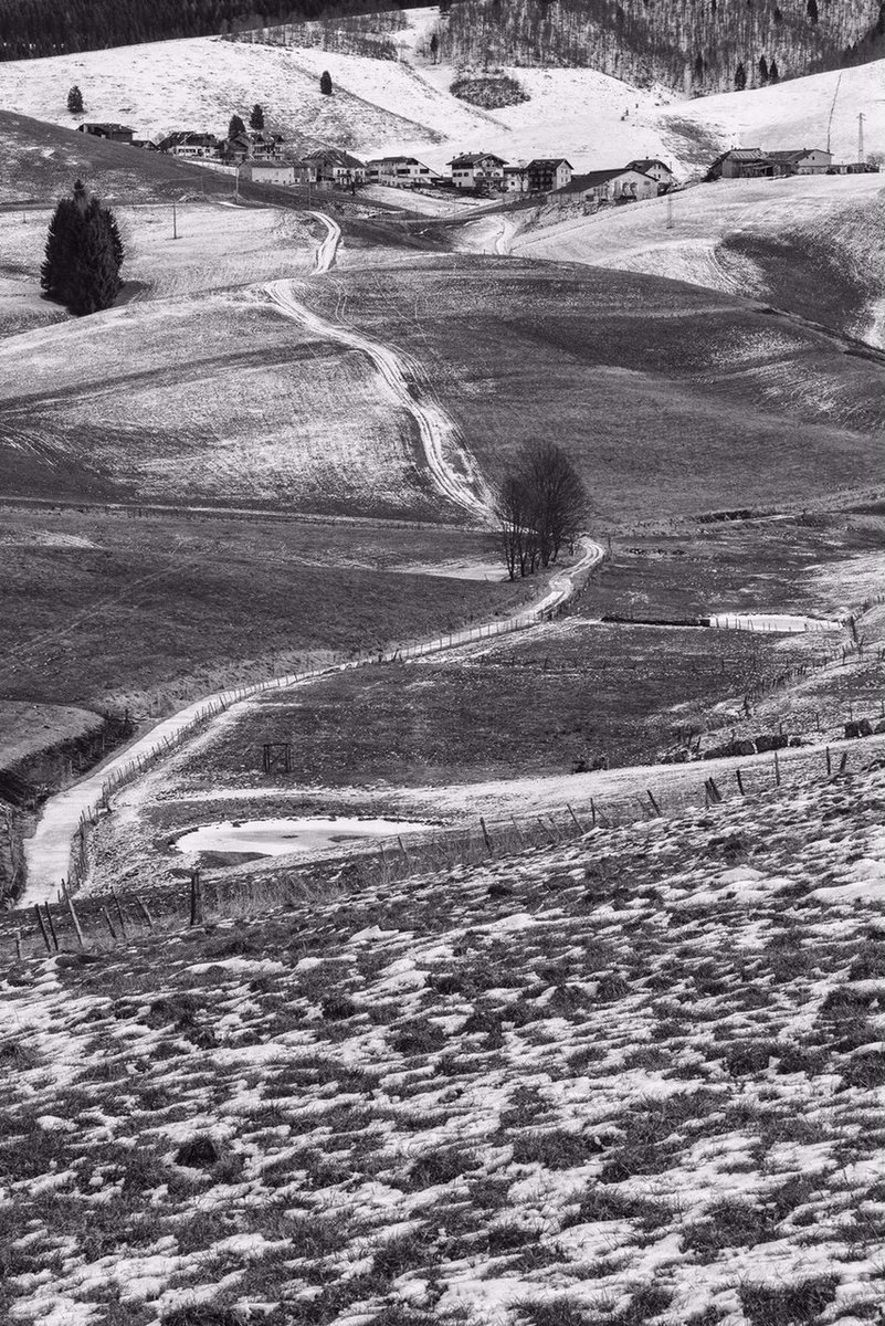 MAG Museo Alto Garda tweet media