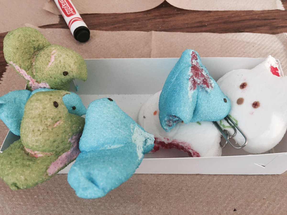 qveen_carla's tweet photo. Then peeps wanting to die then Keeley murders them final results of #psychopeeps #comformity @snowfuchs https://t.co/HVKkCNc1KZ