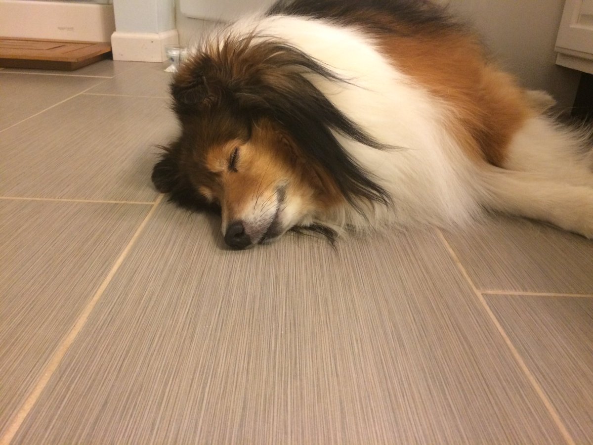 KaciePloen's tweet photo. Exhausted from all the tweeting! #samsungsolve #SamsungSolveRMS https://t.co/NZ5dtwpUW9