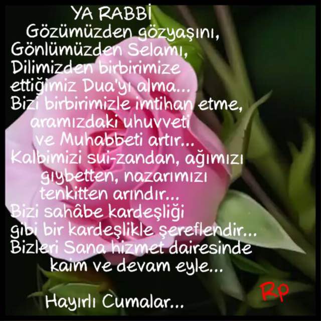 seravasar's tweet photo. https://t.co/qAXvo6QNHs