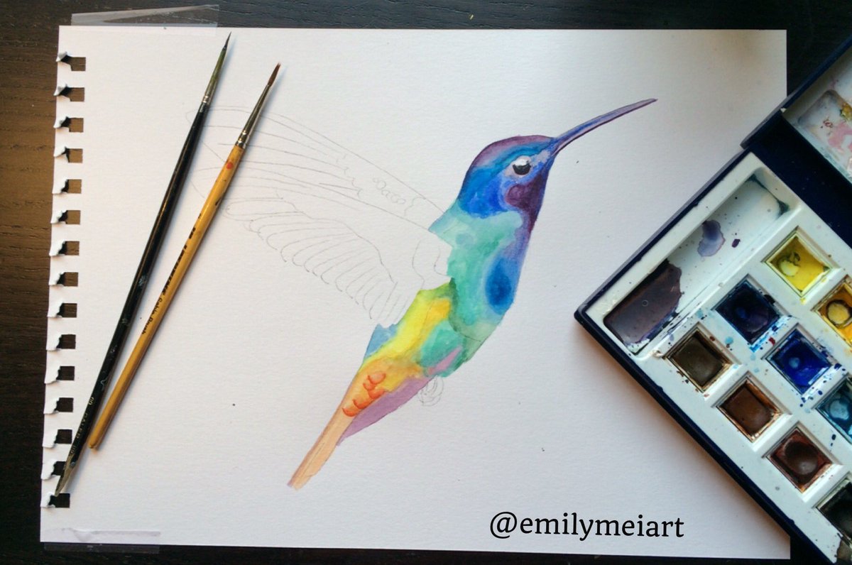 Work-in-progress, a Rainbow Hummingbird watercolour #emilymei #EmilyMeiArt #emilymeiofficial
