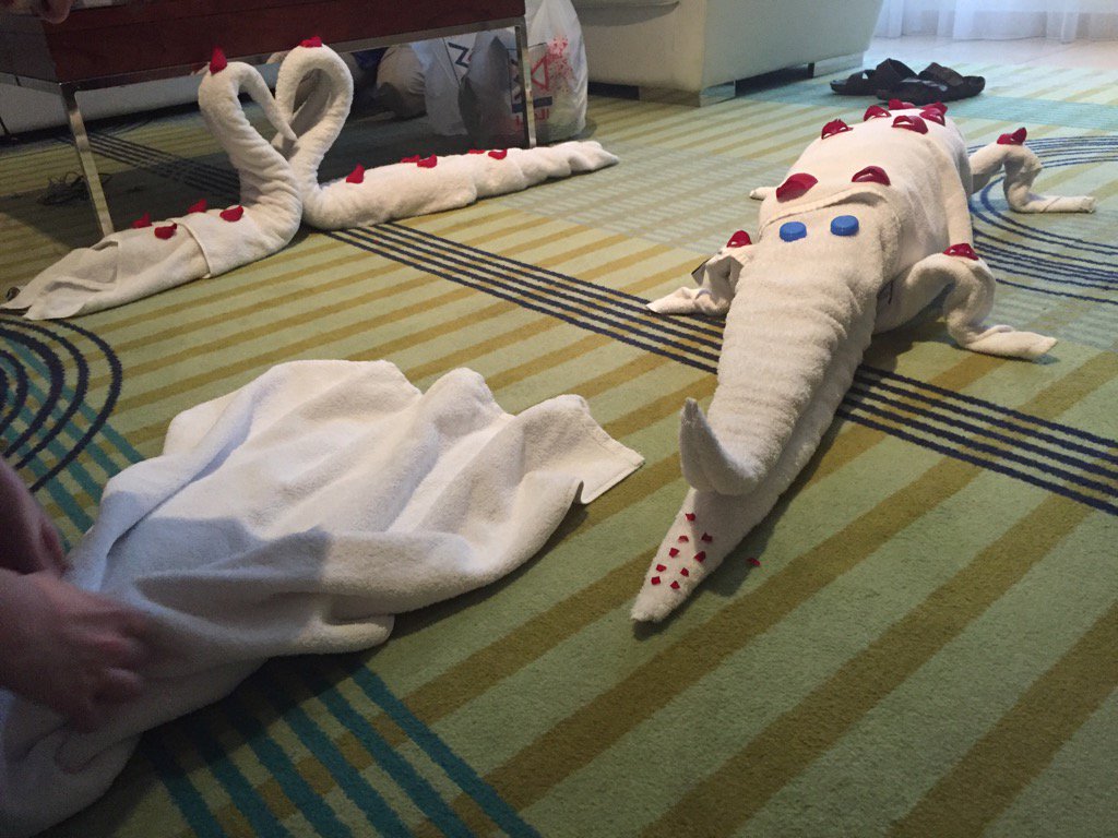 dieselshed's tweet photo. Present from hotel cleaning staff #towelart https://t.co/0Wz565Jhr6