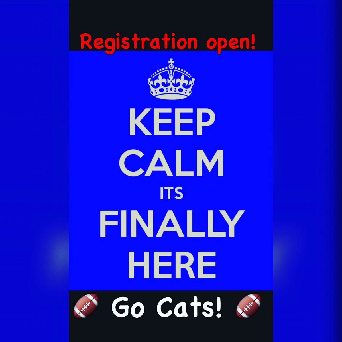 wyfwildcats's tweet image. Flag and tackle registration opens today!