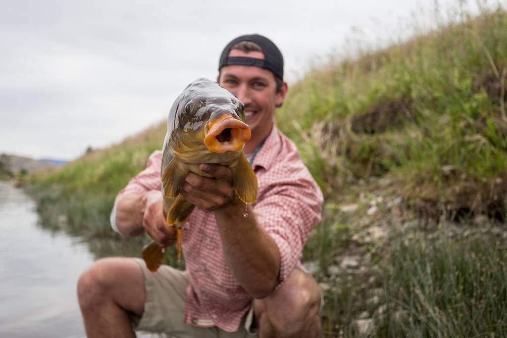 SeacatCreative's tweet photo. Smile for the camera 😮
Fisherman:@HaakJohns
#BuiltForTheWild | #FishDifferent | #Montana | #SeacatCreative https://t.co/7yCF15c98Z