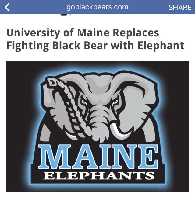 blackbearunited's tweet photo. We will be transitioning our Twitter handle to the #ElephantHerd so stay tuned! https://t.co/wSgAhGXzP5