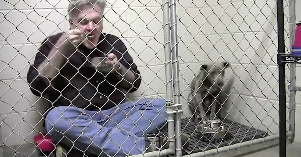ScaryFiIes's tweet photo. He Locked Himself With a Neglected Pit Bull, What Happens Next Will Break Your Heart... https://t.co/tL6h53z6p2 https://t.co/DCvRQ9blu7