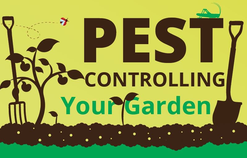 Stop garden pests in their tracks with this #infographic from our friends <a href="/nycitypestctrl/">NYCitypestcontrol</a> » bit.ly/1MZJDdb