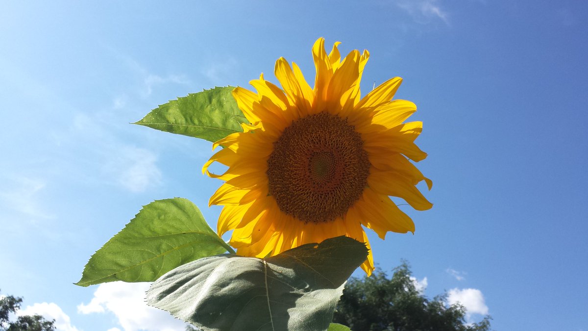 MajorsRobin's tweet photo. Kansas is going to be nice today https://t.co/i5CpqZm9o6