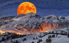 sparkd2's tweet image. 