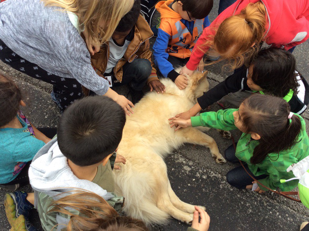 TeamHickman512's tweet photo. Caymus taught us how animals can make people feel. #teamHickman #happyhearts #team512 https://t.co/B6qiZFwoIE
