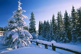 sparkd2's tweet image. very good rafting place really osom ..... ghumindiaghum.com