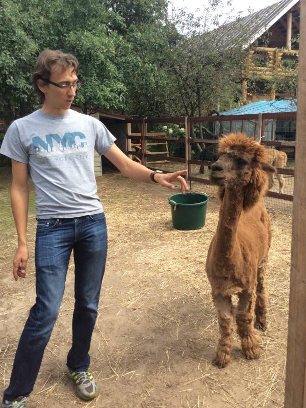 MoscowEscape's tweet image. Звери, чем-то напоминающие ламу, верблюда, а забавными стрижками – пуделей, поселились в… t2p.pw/2LgVXJq4iJ