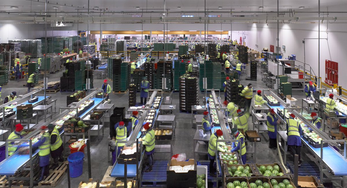 PPL project complete, Design &amp; PM of 5000m2 packaging store &amp; amenities - Just in time for summers water melons!