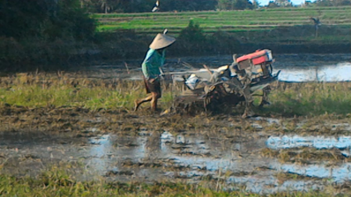 Tabanan Bali tweet media
