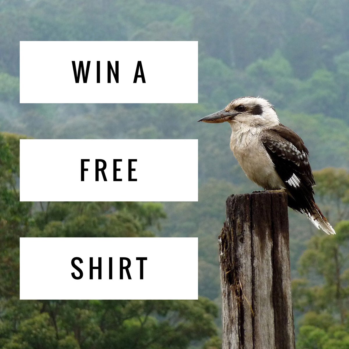 MSUBSU's tweet photo. LAST CHANCE! Retweet and fave this to enter to win a FREE TSHIRT! Check out our Instagram and FB as well to >chances https://t.co/eVoJioY0vK