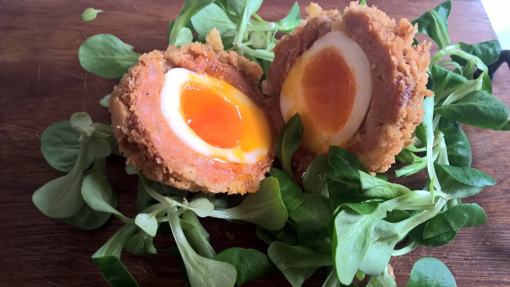 Pork &amp; chorizo Scotch egg, thinking about calling it the Andy Murray? Got a bit of bite !