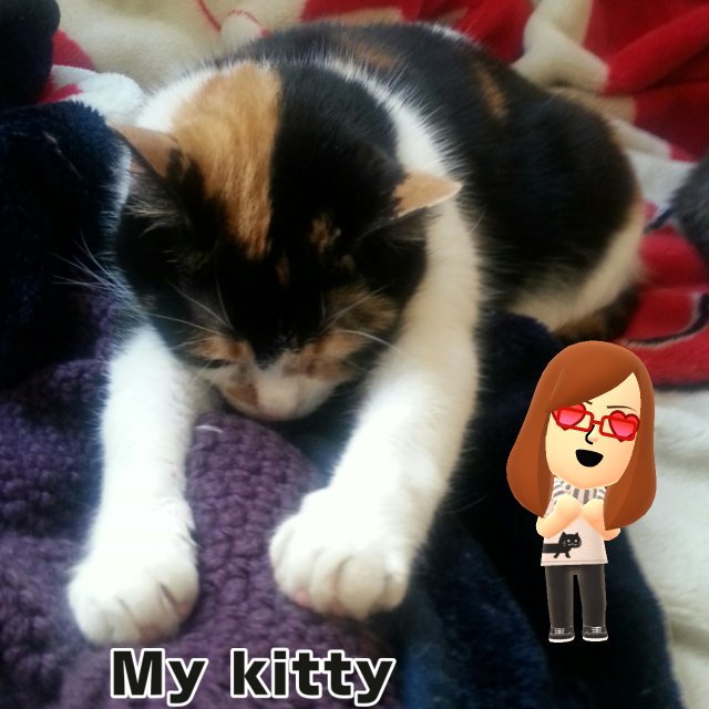 LatelyLiving's tweet photo. #Miitomo #Miifoto https://t.co/Mfg0ocWDFW https://t.co/oJxJSW0qHH