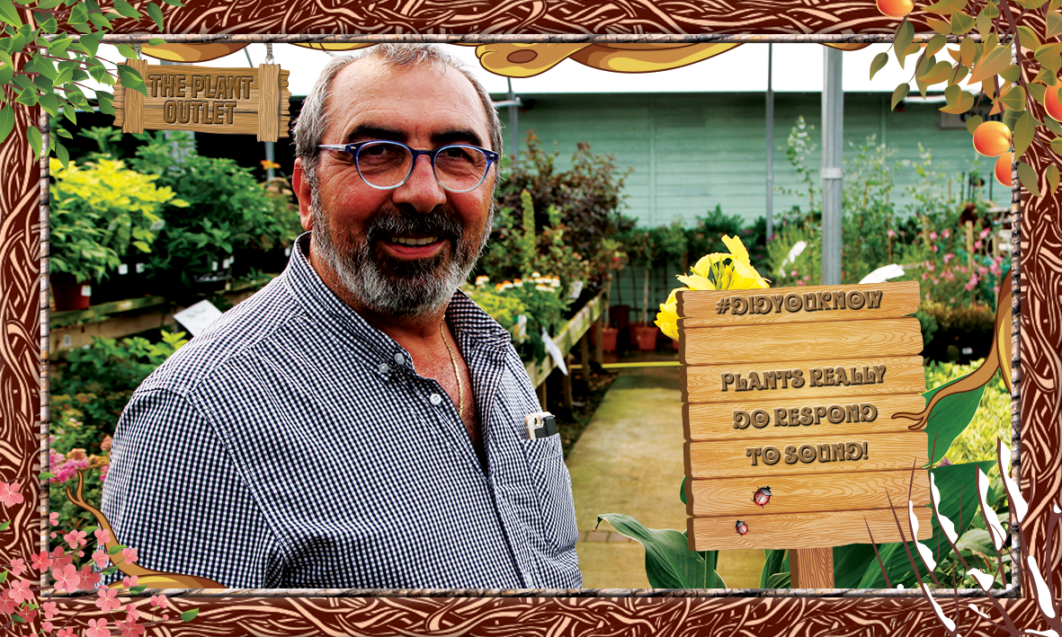 ThePlantOutlets's tweet photo. Looking for something specific? Give us a call 01268 766 533. #Wickford #Essex #Plants #Flowers #Seeds #PlantNursery https://t.co/Snlf6csY13