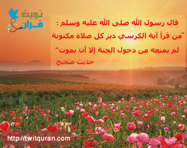 قال رسول الله ﷺ: من قرأ آية الكرسي دبر كل صلاة مكتوبة لم يمنعه من دخول الجنة إلا أن يموت -- حديث صحيح #تويت_حديث